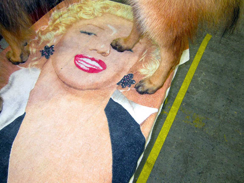Photography by Dolly Faibyshev titled "Marilyn" - 2.